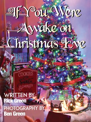 cover image of If You Were Awake on Christmas Eve